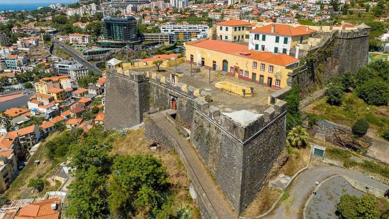Private Vespa Tour Funchal & Câmara Lobos (3hrs) - Key highlights you should care about