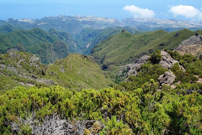 Private Walk Achadas Teixeira - Pico Ruivo Half-day - Pico Ruivo: the main event and why it hits so hard