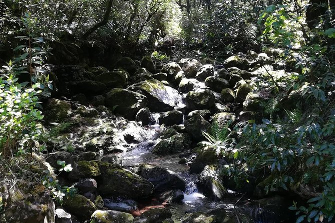 Queimadas-Caldeirão Verde - Booking instincts: what to watch for before you commit