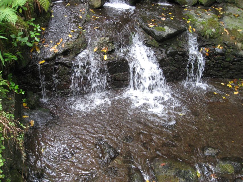 Queimadas Caldeirao Verde Full day hike - Caldeirão Verde Waterfall Comes Into View, Then You Go Through the Story