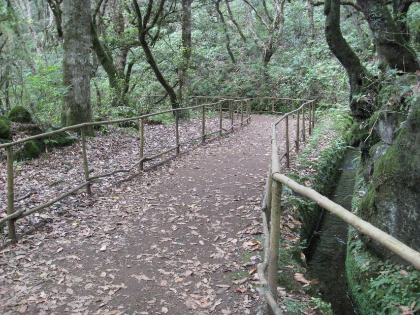 Queimadas Caldeirao Verde Full day hike - Tunnels and Narrow Levada Paths, Why Focus Is the Price of Admission