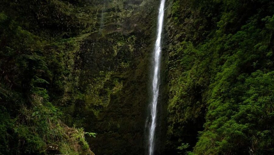 Queimadas Caldeirao Verde Full day hike - Transportation and Why the Pickup List Matters for Your Day