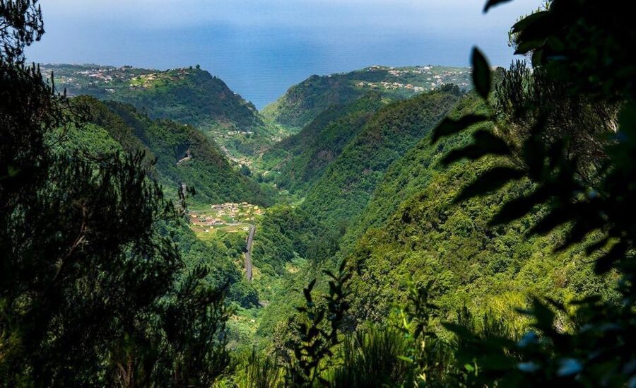 Queimadas Caldeirao Verde Full day hike - Laurissilva and Centuries-Old Cedars Along the Way