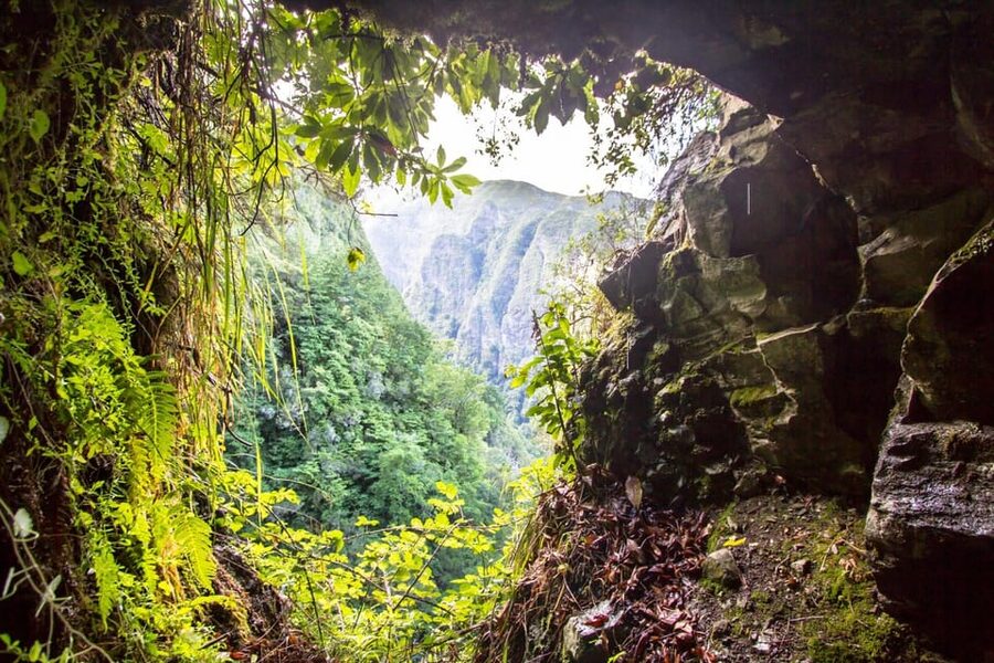 Queimadas Caldeirão Verde Madeira Island Walk - Key things to know before you go