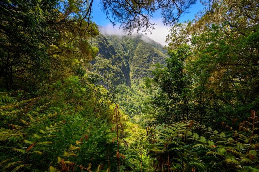 Queimadas Caldeirão Verde Madeira Island Walk - Queimadas to Caldeirão Verde: the real reason this walk works