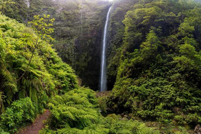 Queimadas Caldeirão Verde Madeira Island Walk - Getting there from Funchal: pickup, van rides, and how long the day lasts