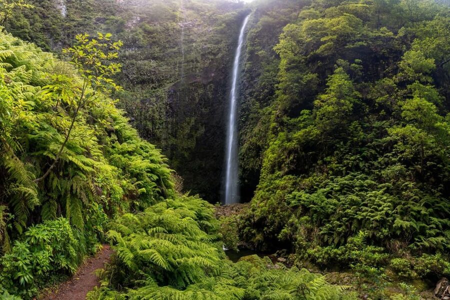 Queimadas Caldeirão Verde Madeira Island Walk - Price and local costs: what $45 really means in practice