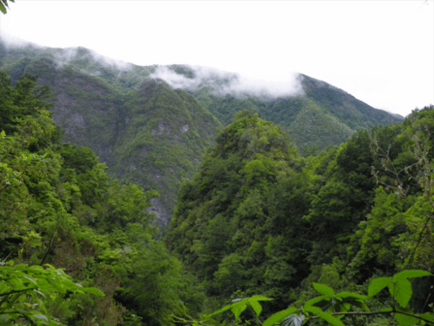 Queimadas Caldeirão Verde Walking tour with guide - Key highlights you’ll feel on the walk
