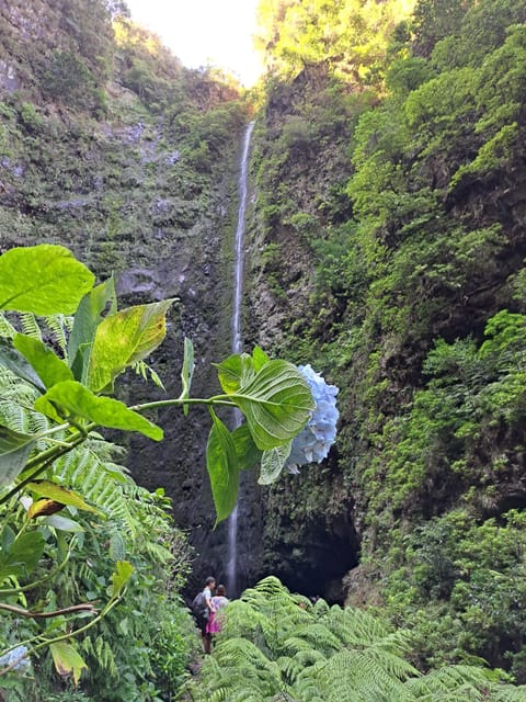 Queimadas Caldeirão Verde Walking tour with guide - What $45 buys you, and what to budget on the day