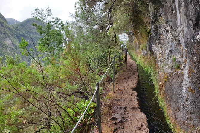 Queimadas-Caldeirão Verde - The 13 km Laurissilva walk: what you’ll actually be doing