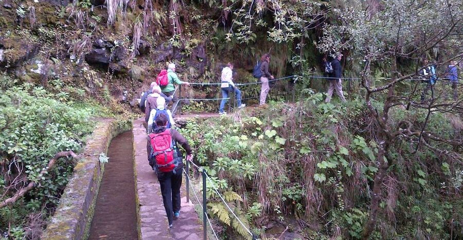 Queimadas Natural Park 5-Hour Guided Hike - Why Caldeirão Verde is worth your Madeira morning