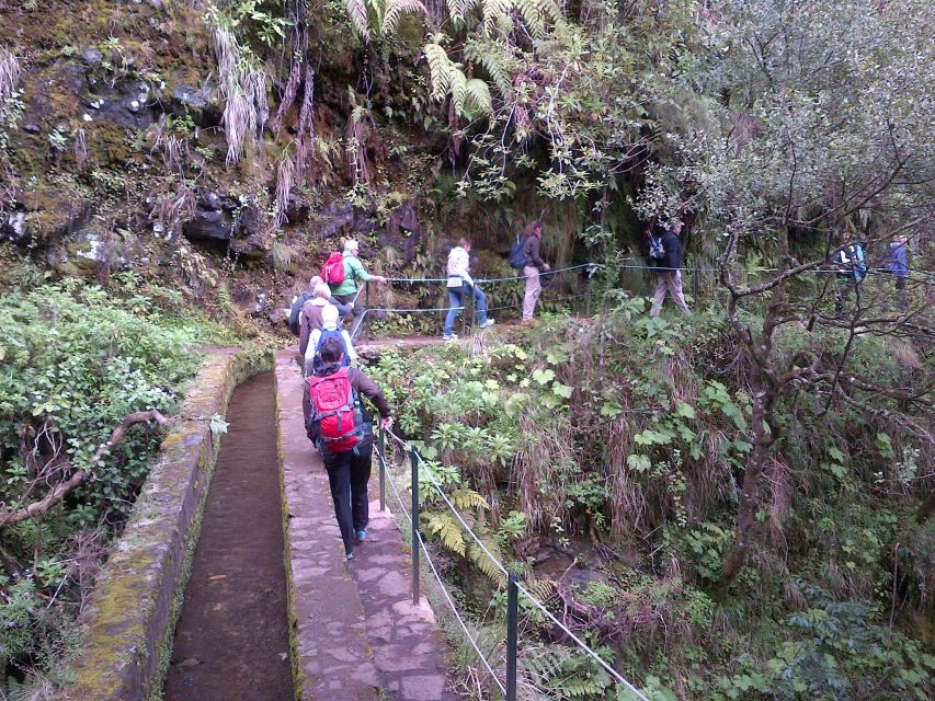 Queimadas Natural Park 5-Hour Guided Hike - Tunnels and uneven footing, what to bring and how to move