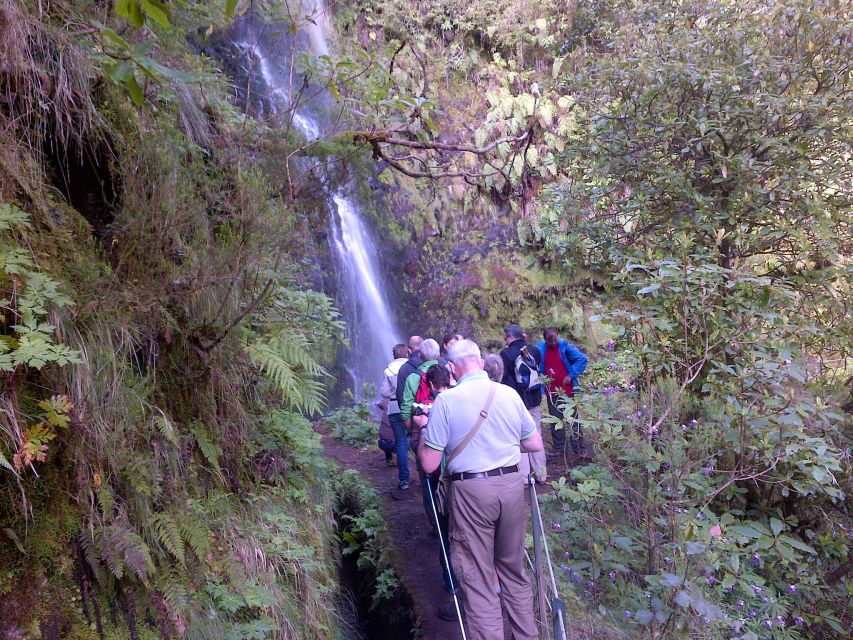 Queimadas Natural Park 5-Hour Guided Hike - Stops and scenery you can plan your photos around