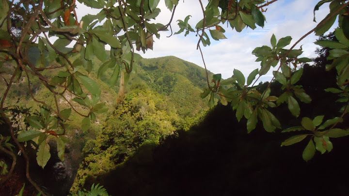Queimadas Natural Park 5-Hour Guided Hike - How long it really takes: the hike time vs the full day