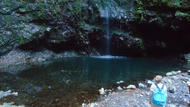Queimadas Natural Park 5-Hour Guided Hike - Who should book this hike, and who should skip it