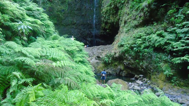 Queimadas Natural Park 5-Hour Guided Hike - Getting to Queimadas Natural Park from Funchal (and why timing matters)