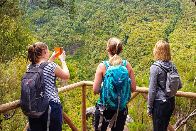 Rabaçal 25 Fontes Levada Walk in Small Groups - Key things to know before you go