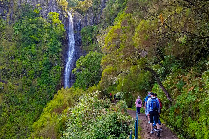 Rabaçal 25 Fontes Levada Walk in Small Groups - Why 25 Fontes and Cascada da Risco is such a smart Madeira choice