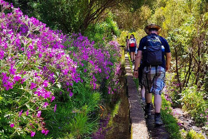 Rabaçal 25 Fontes Levada Walk in Small Groups - Timing, duration, and how to plan your day around it