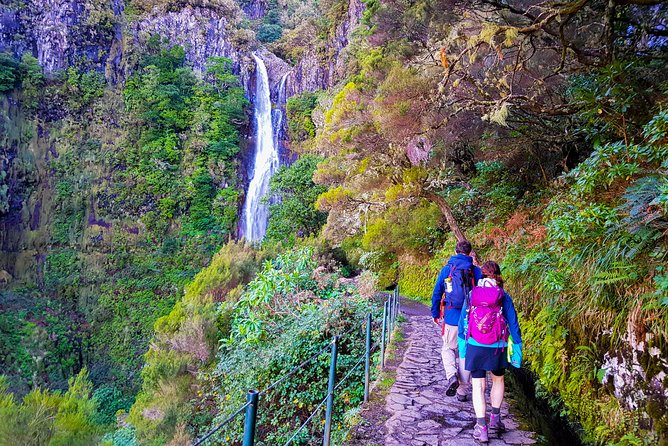 Rabaçal 25 Fontes Levada Walk in Small Groups - What the walk feels like on the trail through the forest