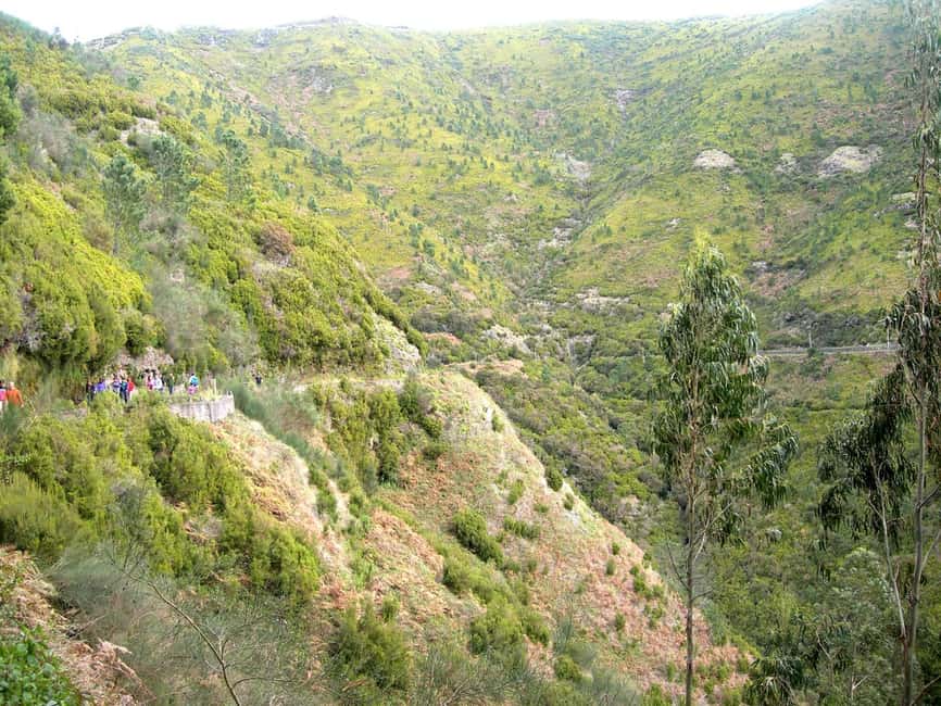 Rabaçal: 25 Fontes & Risco Levada Transfer Self-guided Hike - Key Highlights You Should Know
