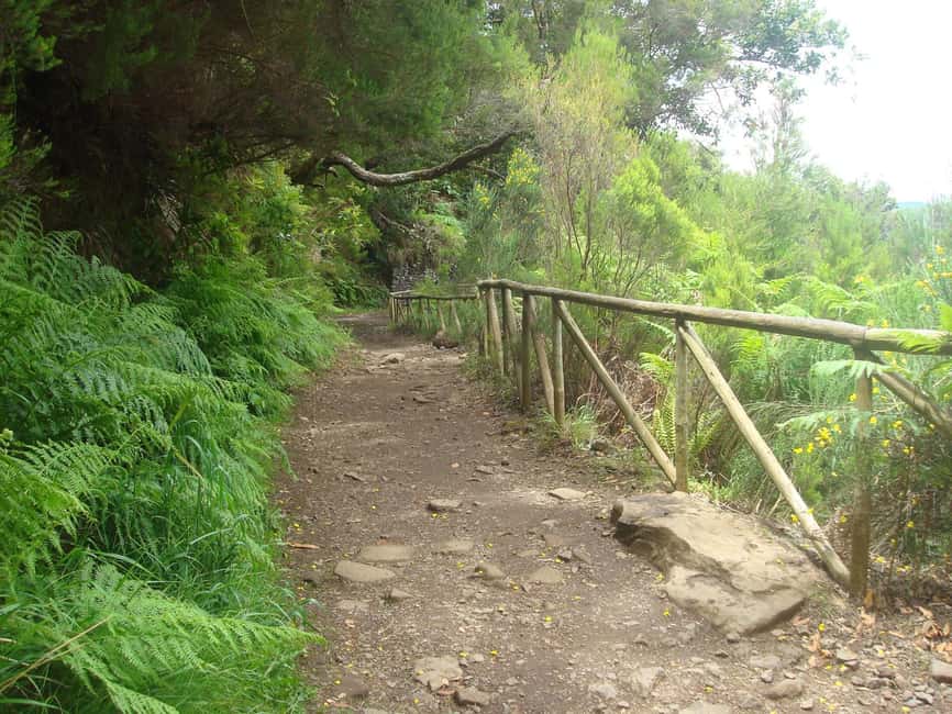 Rabaçal: 25 Fontes & Risco Levada Transfer Self-guided Hike - The Practical Stuff That Can Make or Break Your Day