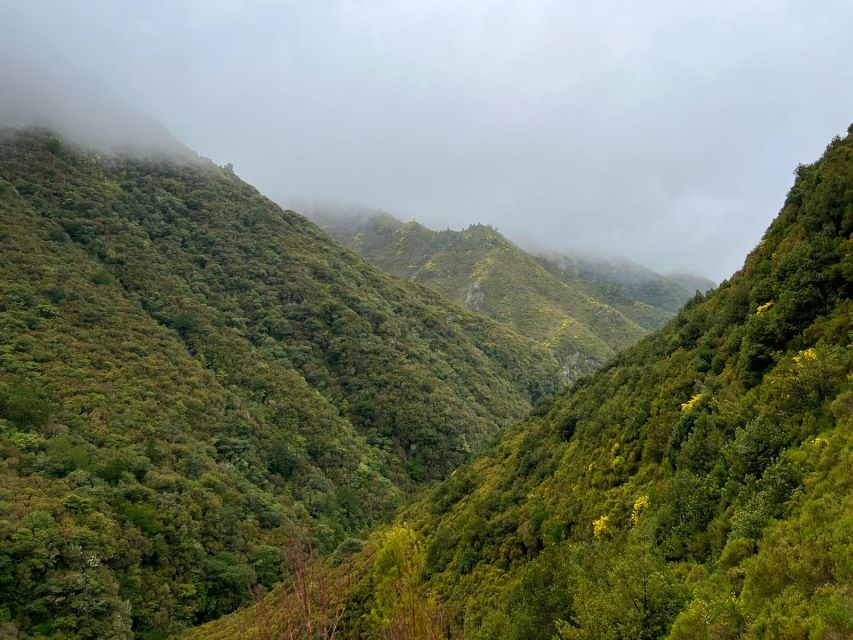Rabaçal: 25 Fontes & Risco Levada Transfer Self-guided Hike - Entering Rabacal: Why This Hike Is So Famous