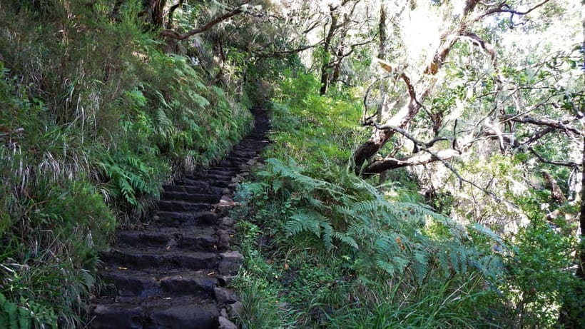 Rabaçal: 25 Fontes & Risco Levada Transfer Self-guided Hike - The 5 Hours on Foot: How the Loop Works at Your Pace