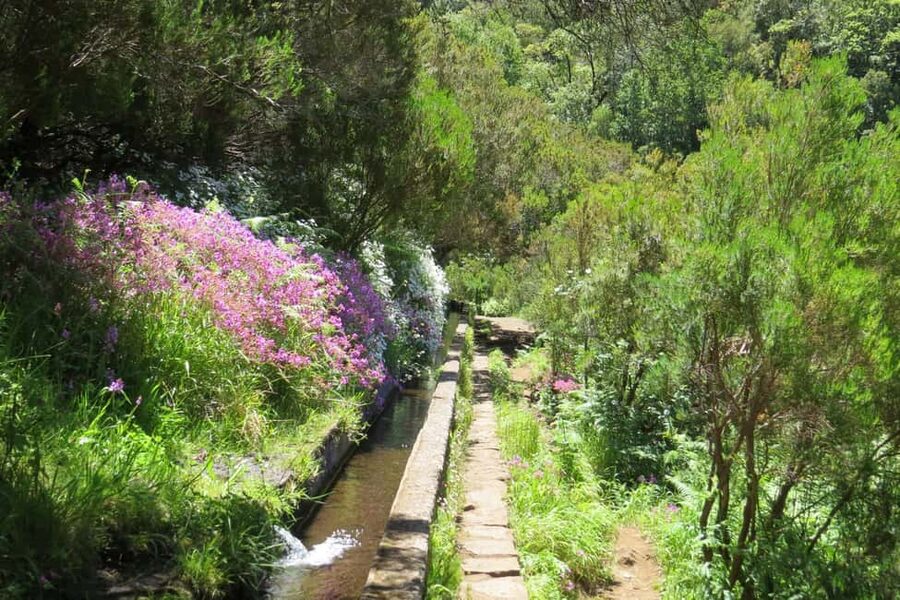 Rabaçal: 25 Fontes & Risco Levada Transfer Self-guided Hike - The 25 Fontes Waterfalls: Steps, Crowds, and That Big Water Moment