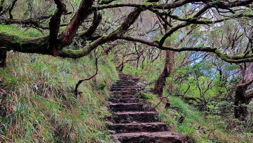 Rabaçal: 25 Fontes & Risco Levada Transfer Self-guided Hike - Nerves, Heights, and Wet Stairs: Who This Is For