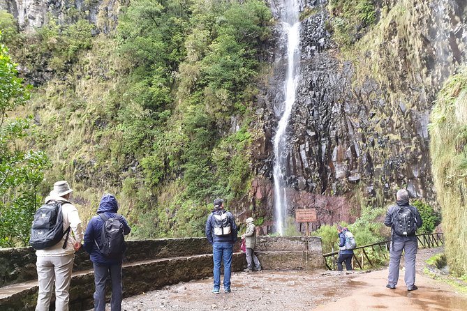 Rabaçal / 25 Fonts - 25 Fontes and Cascada da Risco: waterfalls, plants, and the hydroelectric angle