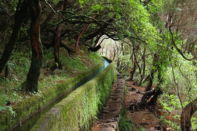 Rabacal - 25 Fountains - Key things to know before you hike Rabacal 25 Fountains