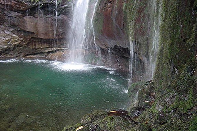 Rabacal - 25 Fountains - Madeira’s Rabacal levada walk, and why the 25 Fountains is famous