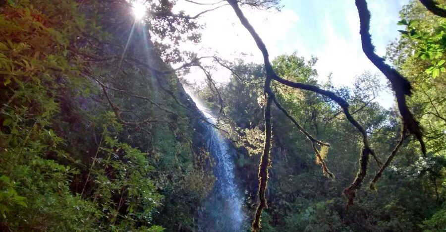 Rabaçal: Lagoa do Vento, Levada Risco and Levada 25 Fontes - Stop 1: 25 Fontes and the waterfall payoff you came for