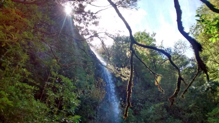 Rabaçal: Lagoa do Vento, Levada Risco and Levada 25 Fontes - Getting there and starting: the drive time that shapes the day