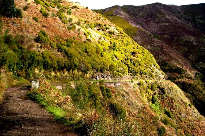 Rabaçal - Levada das 25 Fontes - Key Things to Know Before You Go