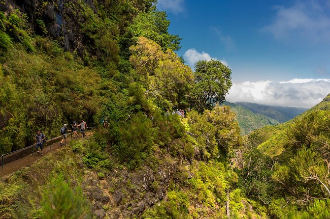 Rabaçal - Levada das 25 Fontes - Pace, Steps, and the “Moderate Fitness” Line