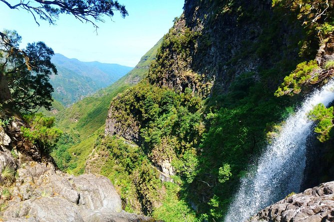 Rabaçal - Levada das 25 Fontes - The Value Question: $55.60 Plus the 2025 Forestry Tax