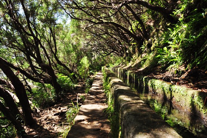 Rabaçal - Levada das 25 Fontes - Guide Energy Makes a Difference on This Route