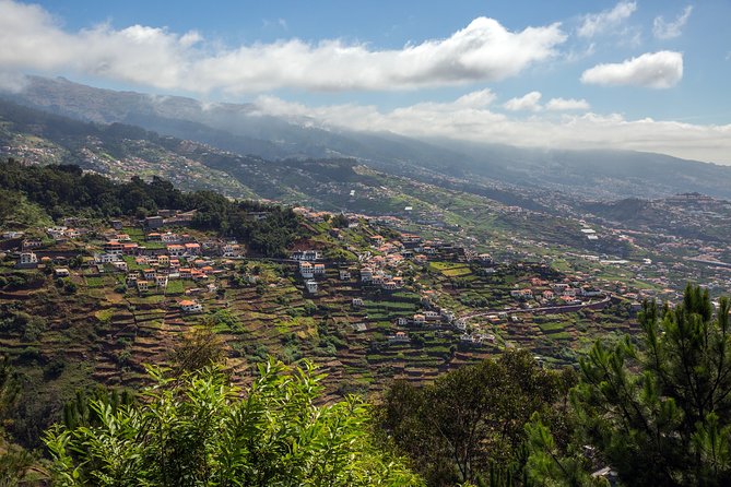 Real Life, Mountains & Sea Cliffs (Nun´s Valley View) - Half Day 4x4 Tour - A half-day that feels like a safari, not a checklist