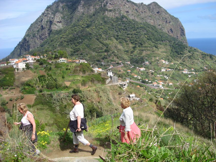 Referta & Castelejo: Half-Day Morning Walk - Why the Levada do Castelejo route is a great Madeira morning plan