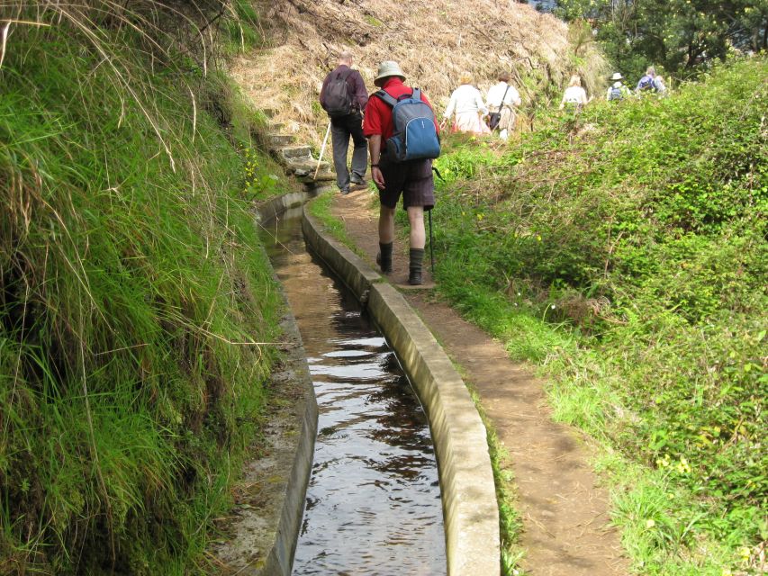 Referta & Castelejo: Half-Day Morning Walk - North Coast panoramas near Porto da Cruz village