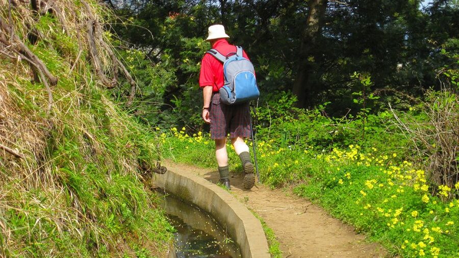 Referta / Castelejo - Levada Walk - Why Referta to Castelejo feels like the Madeira hike sweet spot