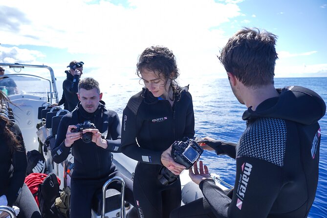 Responsible Whales and/or Dolphins Watching Tour - What to bring, and how to handle the speedboat part