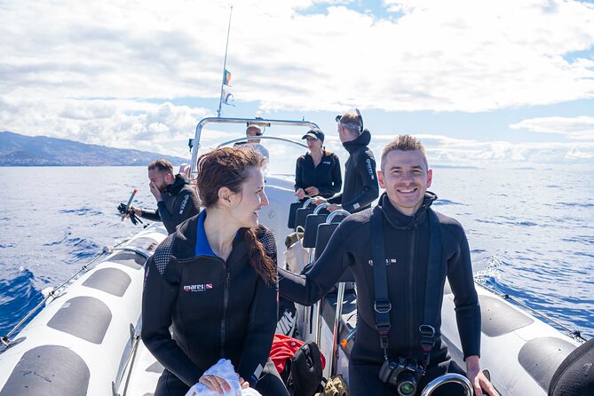 Responsible Whales and/or Dolphins Watching Tour - Who this tour fits best, and who should think twice