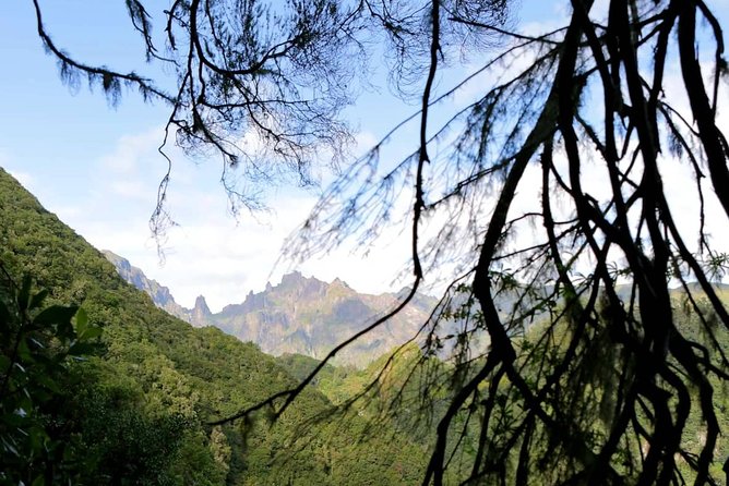 Ribeiro Frio - Portela - Ribeiro Frio to Portela: why this half-day hike works