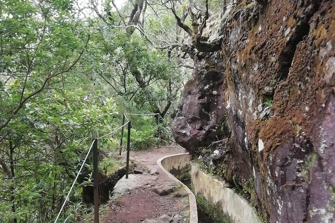 Ribeiro Frio - Portela - The 11 km route and how weather can shift the plan