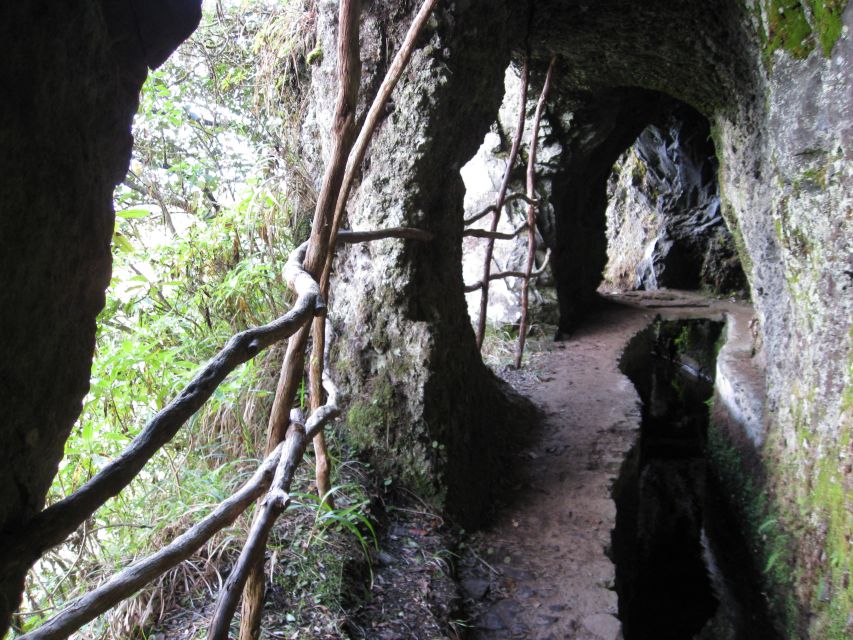 Ribeiro Frio / Portela - Levada Walk - Key highlights you will feel the most