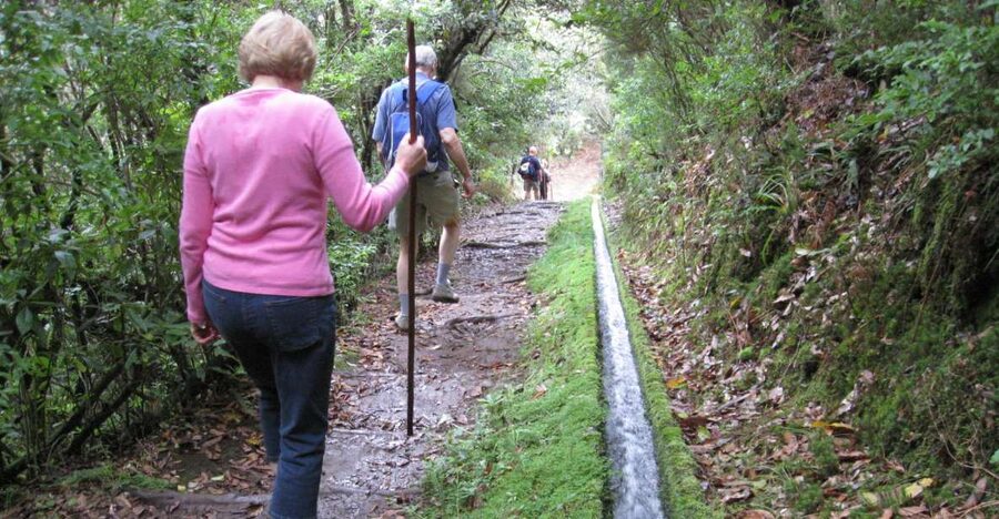 Ribeiro Frio / Portela - Levada Walk - FAQ