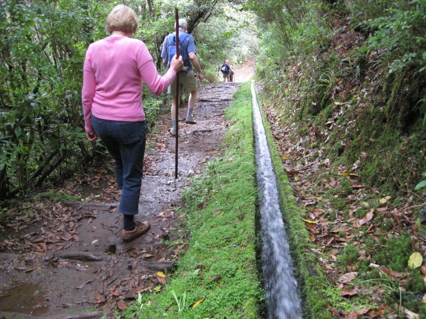 Ribeiro Frio / Portela - Levada Walk - First stop: Ribeiro Frio garden and trout pond